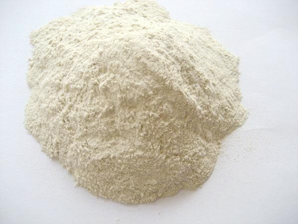 谷朊粉(小麦面筋蛋白)